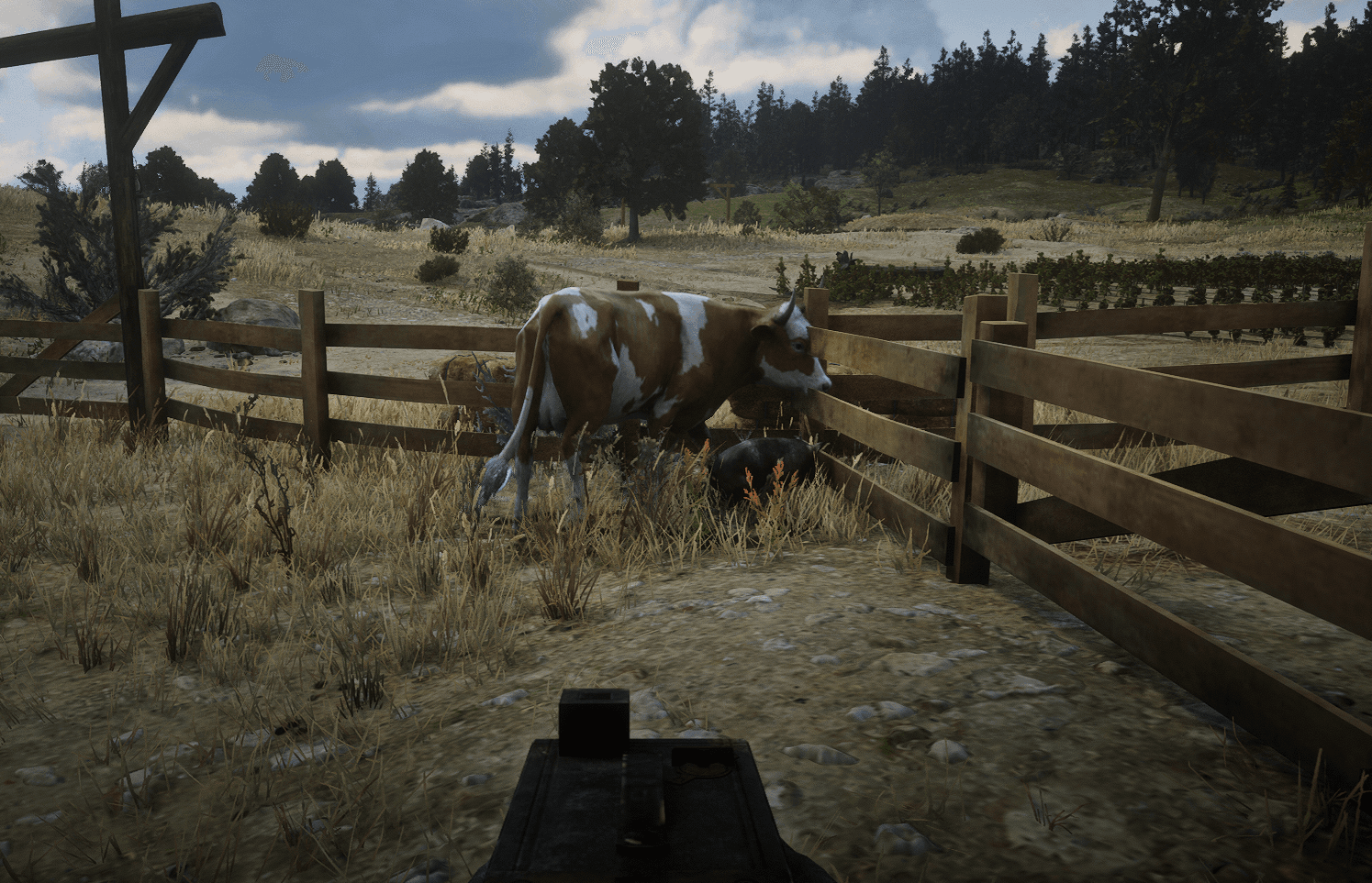 Animales en el rancho del condado de Redención